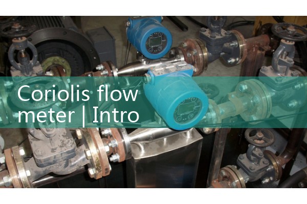 Coriolis flowmeter 